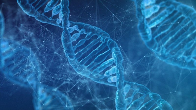 Ayak izi veya nefesten insan DNA’sı tespit edilebiliyor
ABD'deki bilim insanları, ilginç bir keşif yaparak DNA örneklerinin insanın