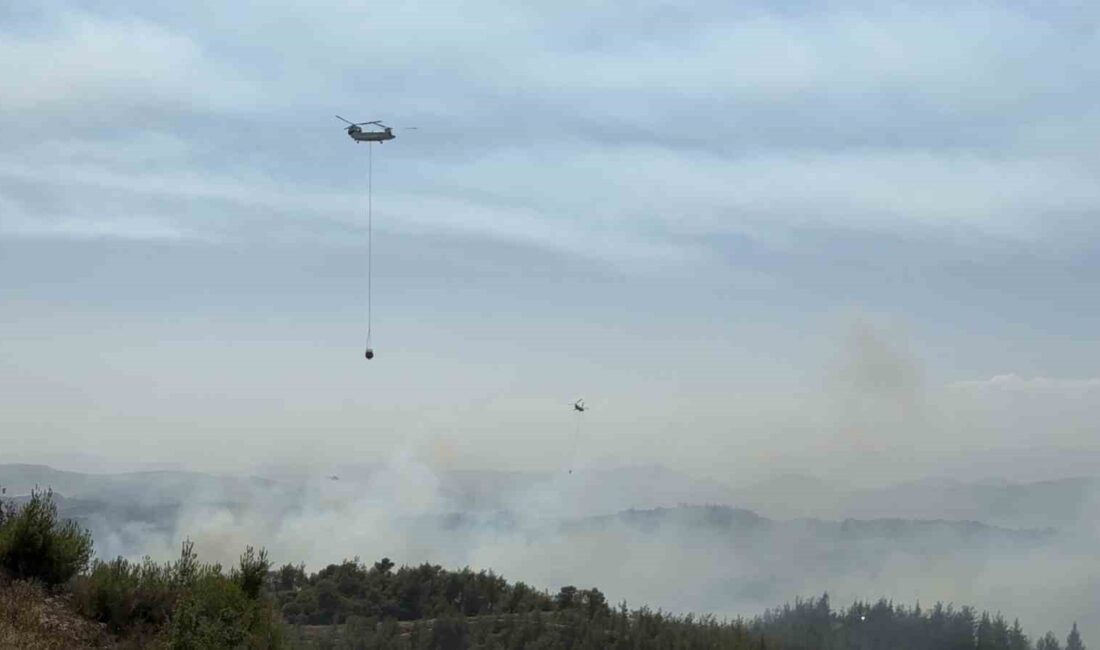 Adana Çukurova'da çıkan orman yangını ve müdahale çalışmaları hakkında güncel