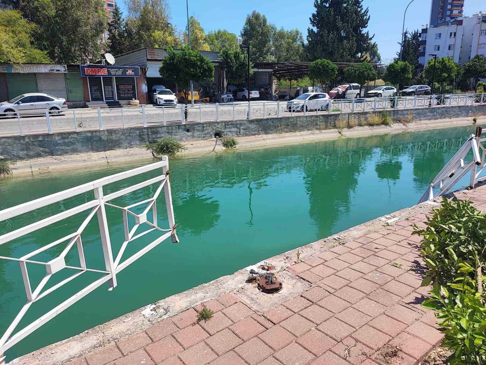 Mahalle Sakinlerinin Gözlemleri ve Talepleri
