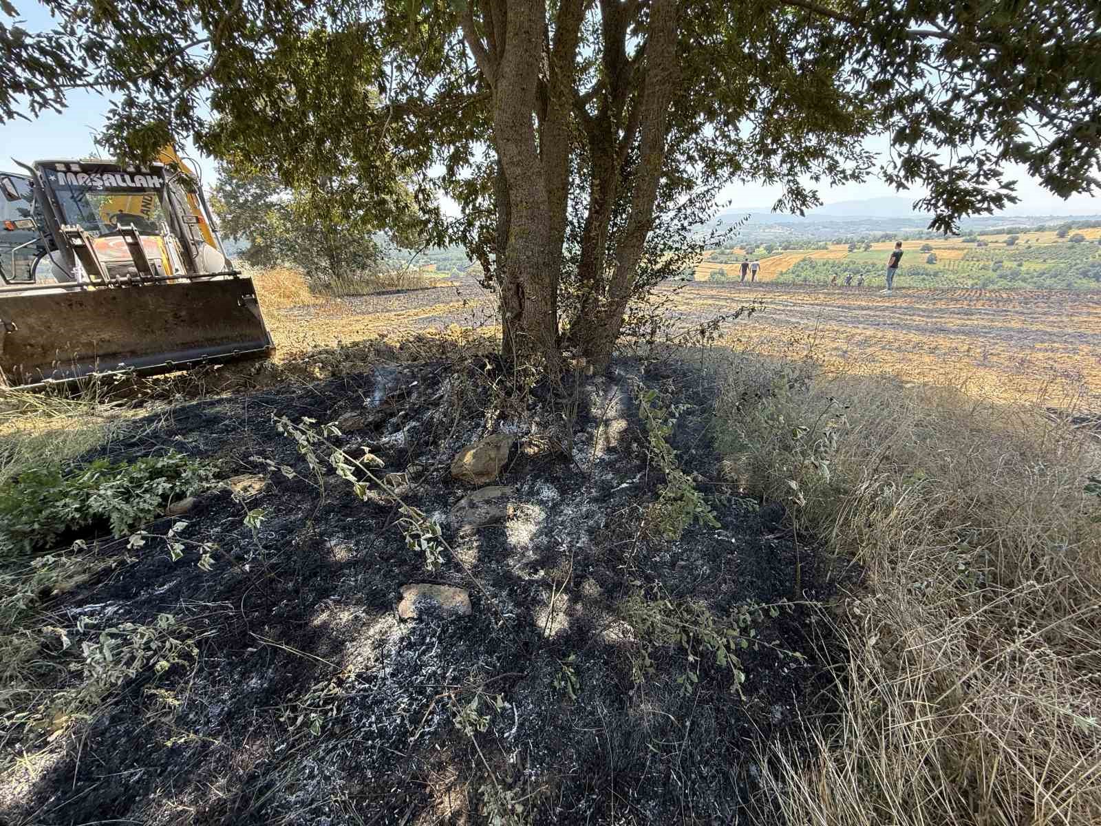 Hasar ve Bölgenin Durumu