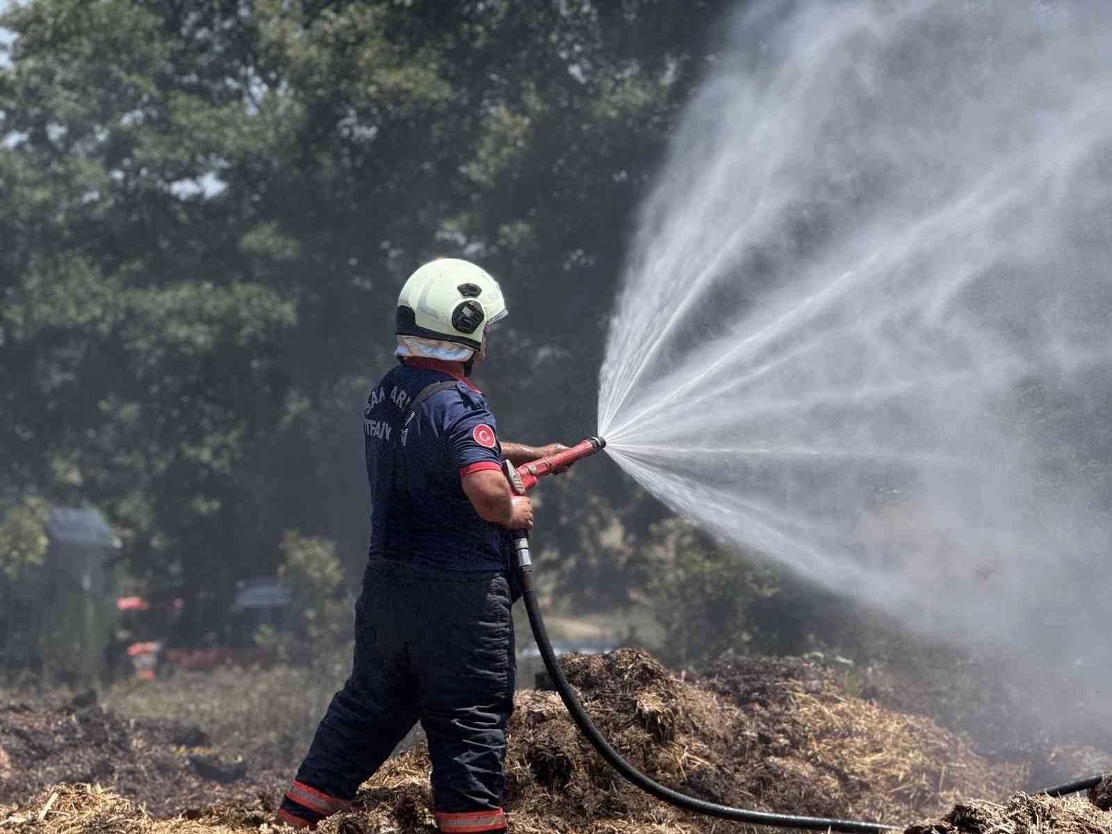 İnceleme ve Gelecek Adımlar