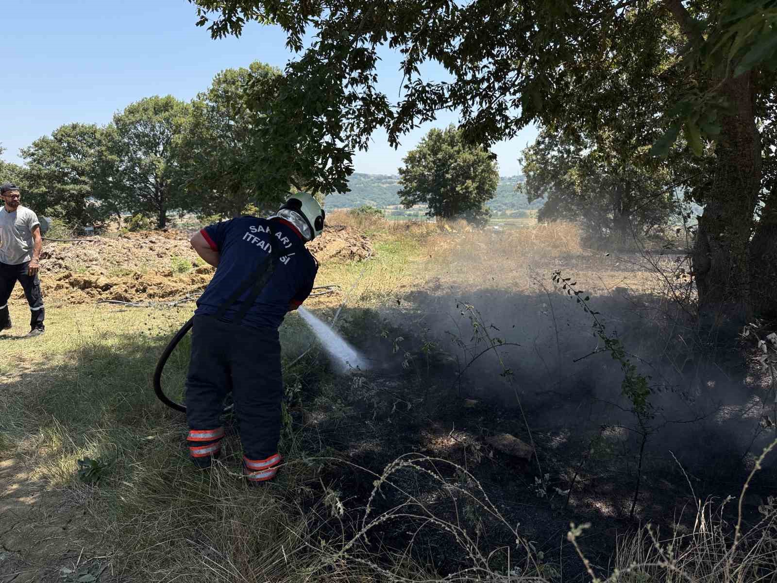 Önlemler ve Bilinçlendirme
