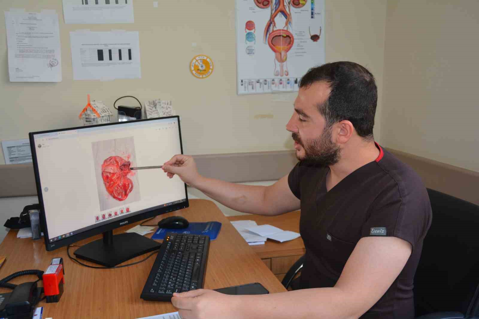 Sağlık açısından uyarılar ve tavsiyeler