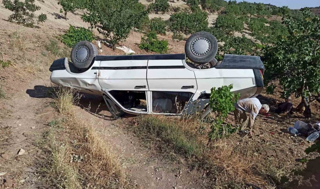 Adıyaman Tut'ta otomobil kazası sonucu bir kişi yaralandı. Detaylar ve