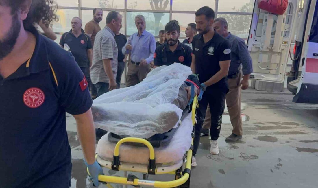 Adıyaman’da trafik kazaları, nedenleri ve sonuçları hakkında detaylı bilgiler. Güvenli