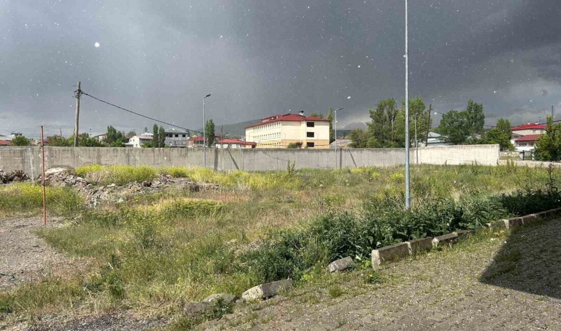 Ağrı'nın Diyadin ilçesinde aniden yağan dolu yağışını ve etkilerini kolayca