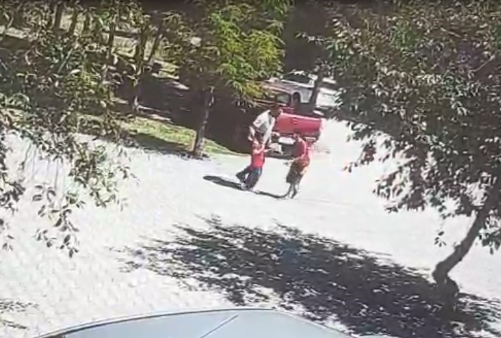 Ahlat'ta köpek saldırısı sonrası çocuk kurtarıldı. Olayla ilgili detaylar ve