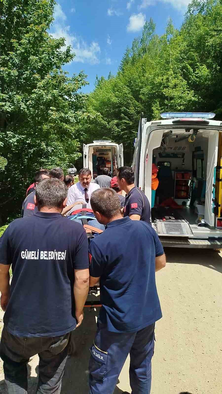 Alaplı ilçesinde Yayla Yolunda Meydana Gelen Kaza ve Detayları