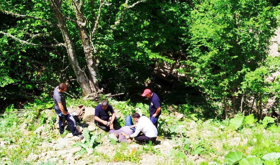 Alaplı'da Yayla yolu üzerinde meydana gelen trafik kazasında 3 kişi