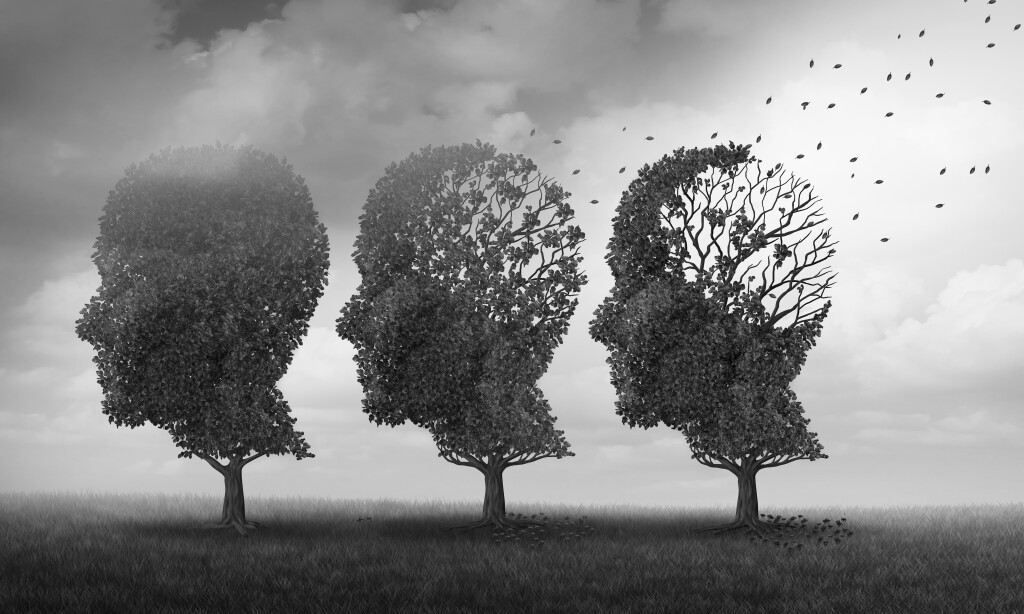 Alzheimer’a karşı doğal çözümler ve günlük yaşamın önemi hakkında kolay