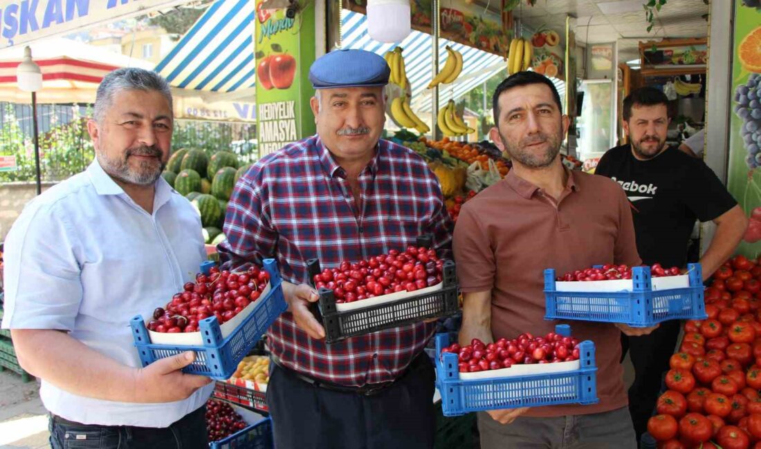 Amasya’da 60 yılı aşkın süredir düzenlenen kiraz teşvik yarışması, bu