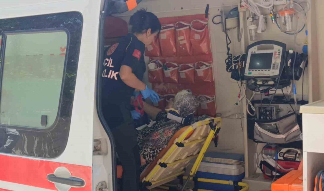 Antalya Manavgat'ta yaya geçidinde meydana gelen trafik kazası ve sonuçları