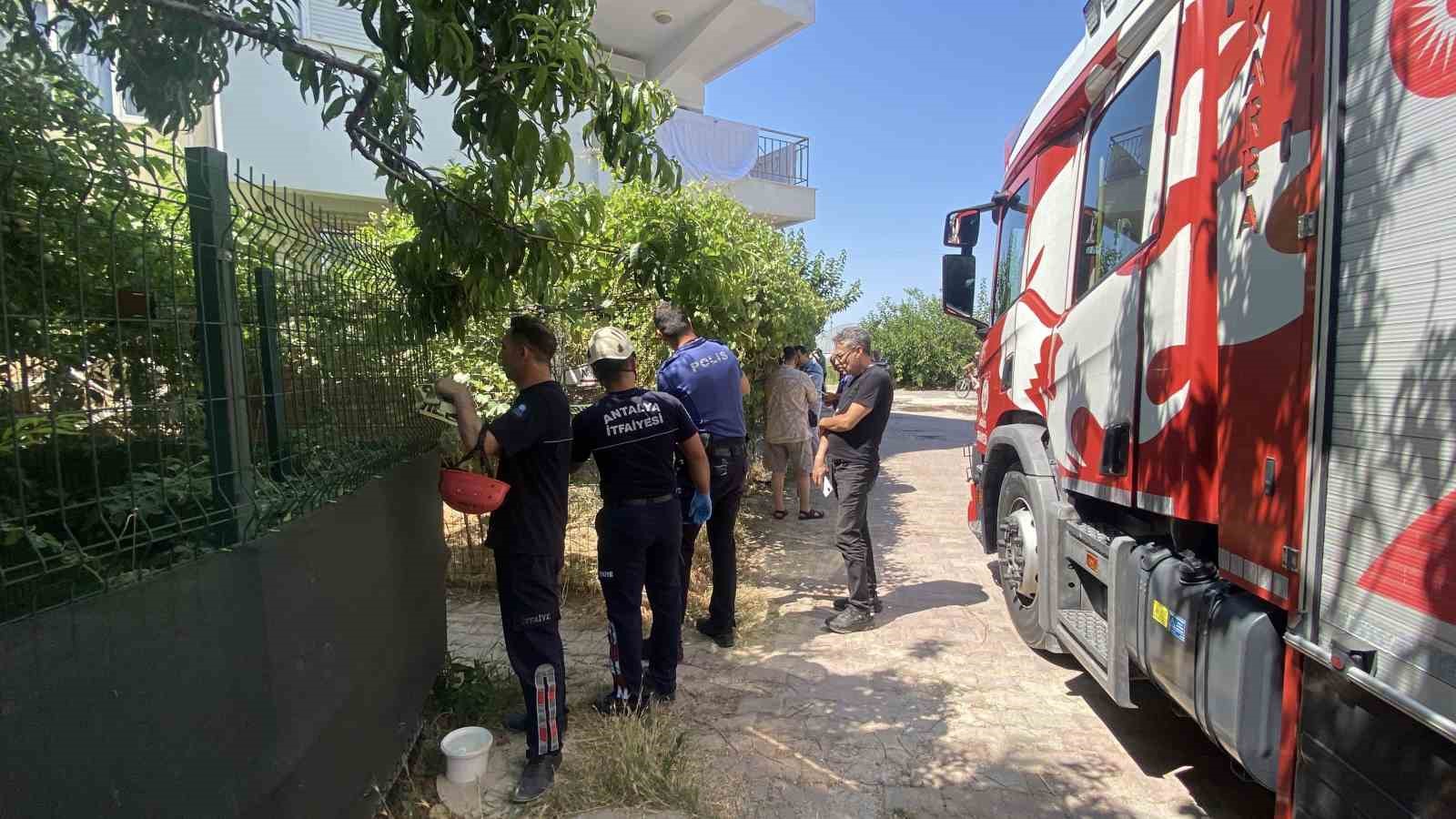 Adli ve Soruşturma Süreci