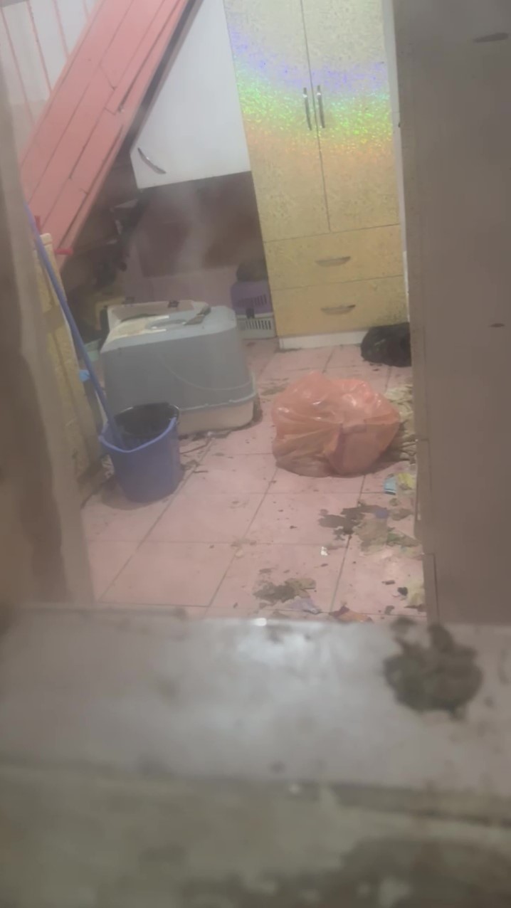 Mahalleliye ve Kamuoyuna Etkileri