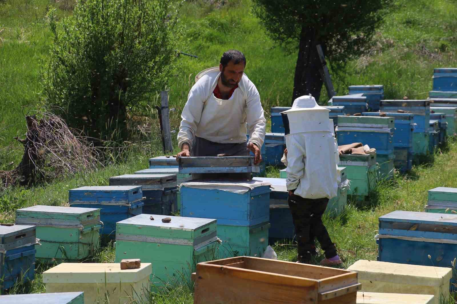 Arı Ekmeklerinin Tanımı ve Üretimi