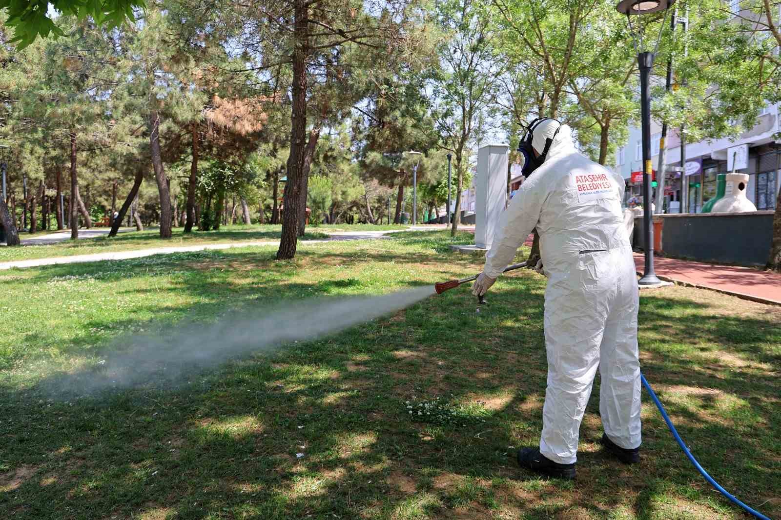 Sağlıklı Bir Çevre İçin Ataşehir Belediyesi'nden Etkili İlaçlama Çalışmaları