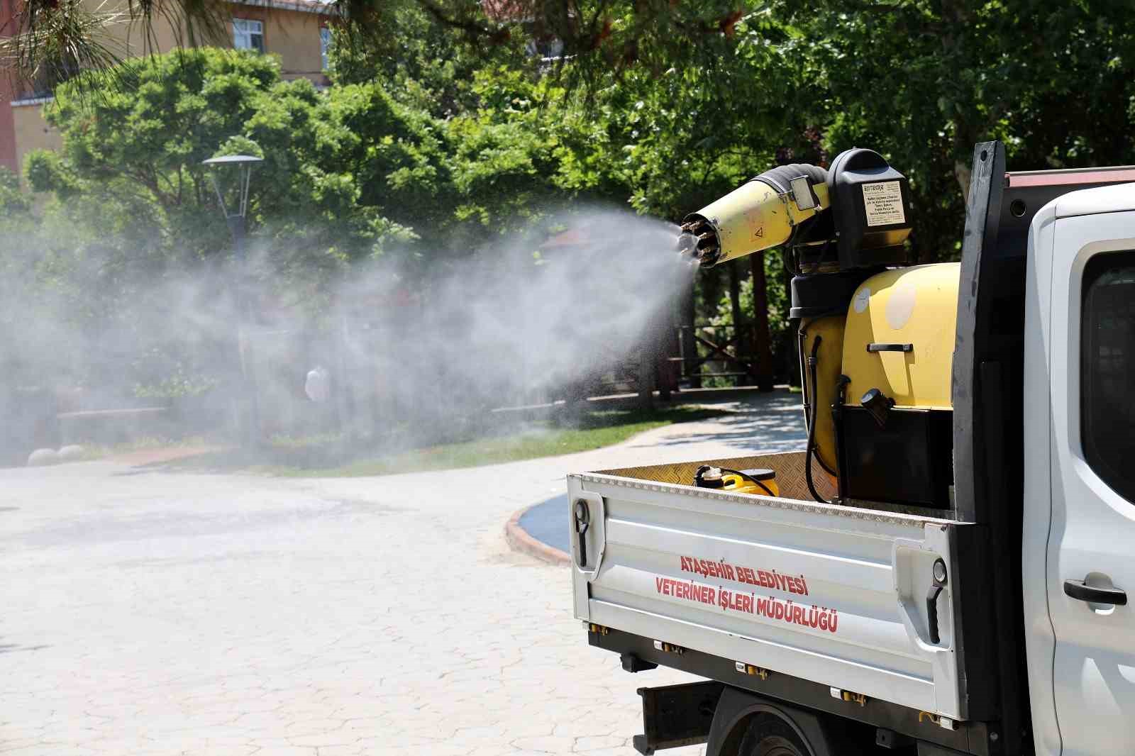 Çalışmaların Detayları ve Katkıları