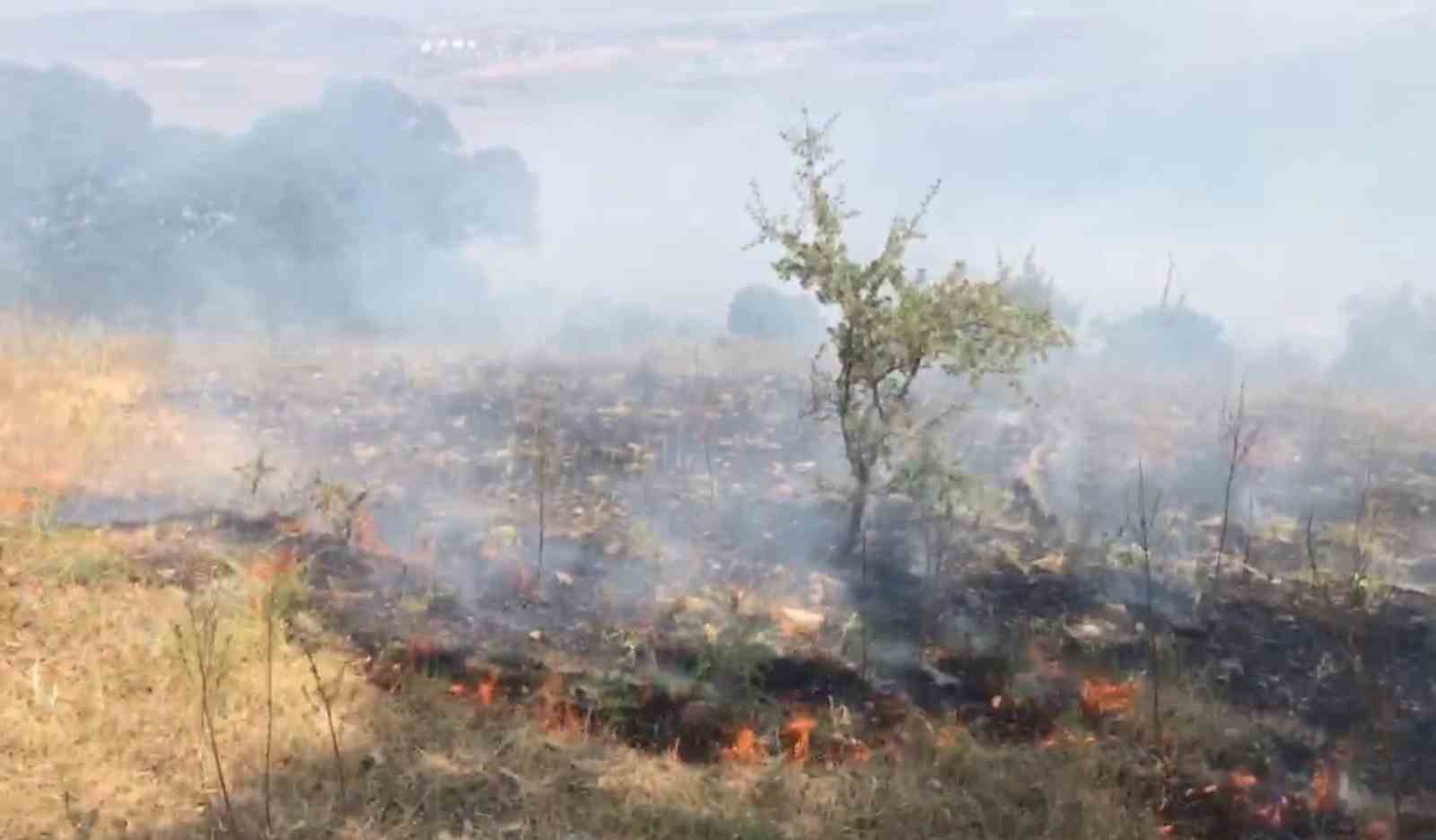 Balıkesir Karesi’de çıkan ve hızla büyüyen orman yangını kontrol altına alındı
