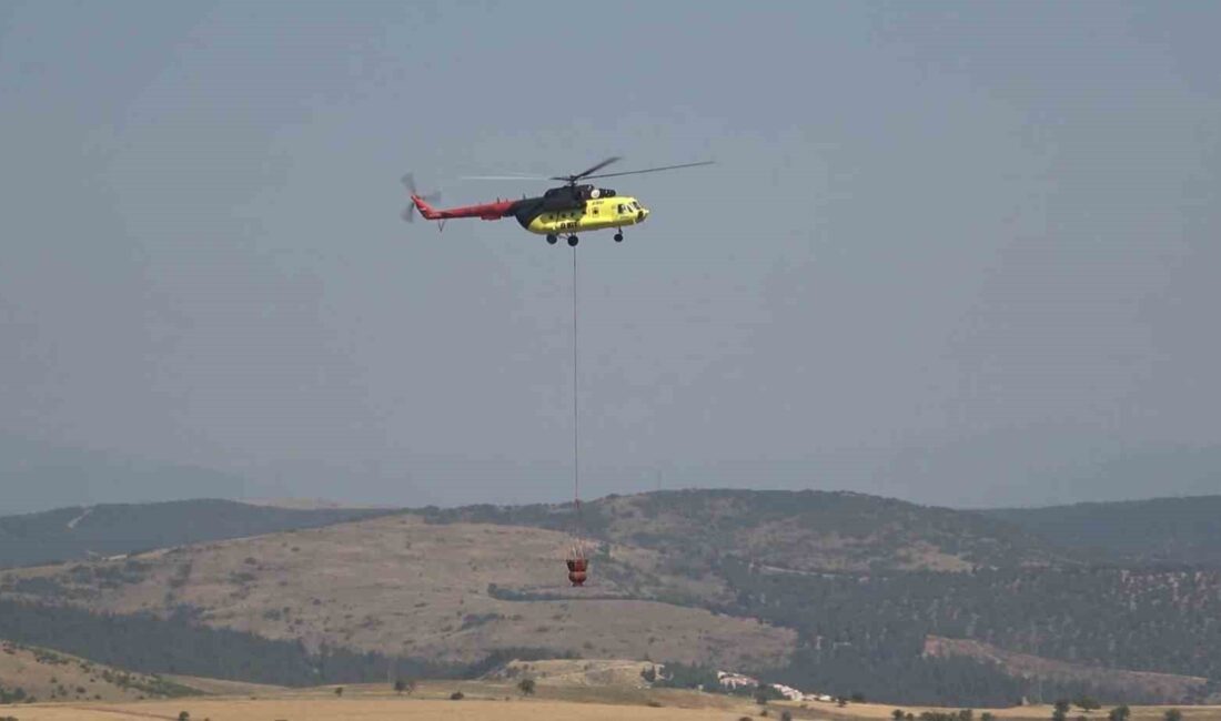 Balıkesir Karesi'de kontrol altına alınan orman yangını hakkında detaylar, yangınla