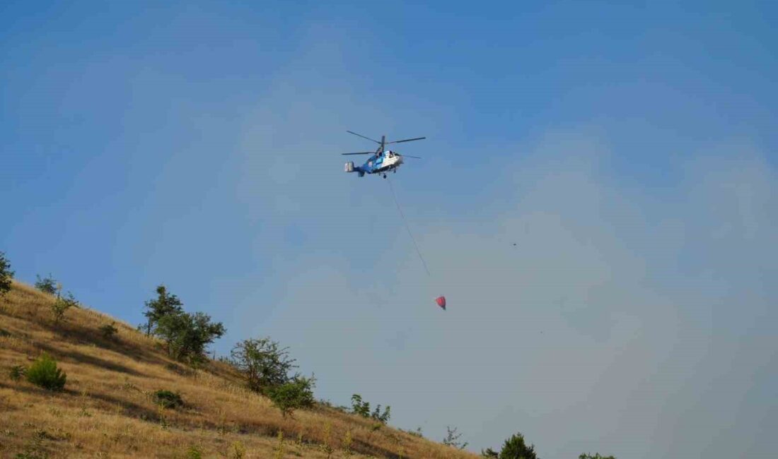 Balıkesir Kepsut'ta orman yangınına hızlı ve etkili müdahale edilerek, doğal