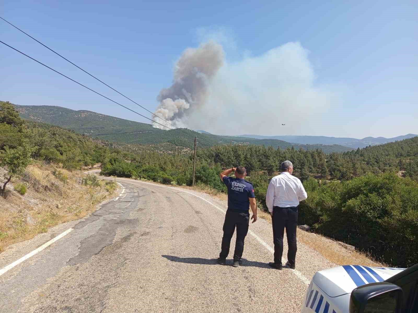 Balıkesir’de Ormanlık Alanda Çıkan Yangın ve Gelişmeler