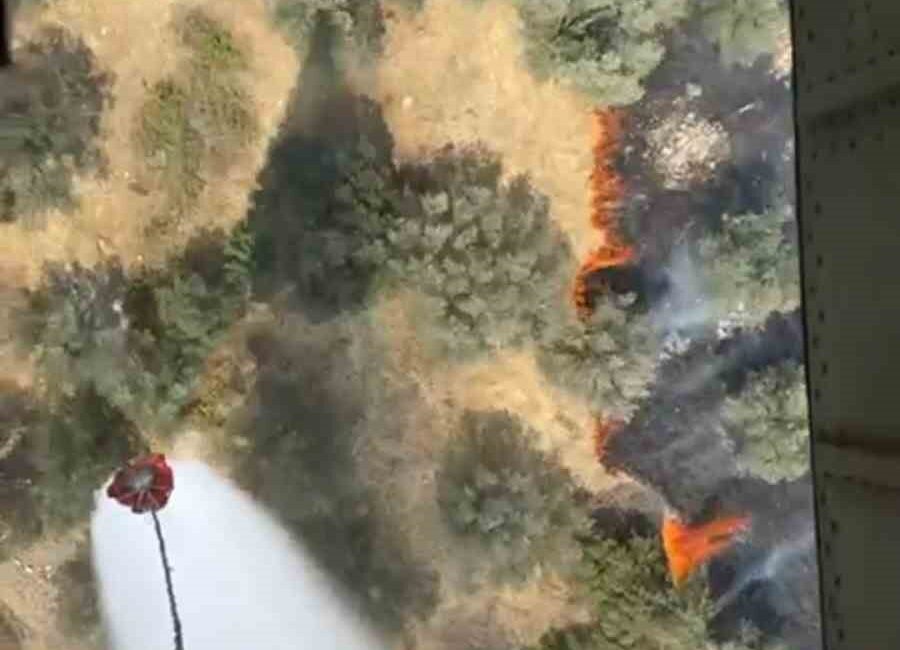 Balıkesir'in Ayvalık ilçesindeki zeytinlik alanda çıkan yangın ve müdahale çabalarını