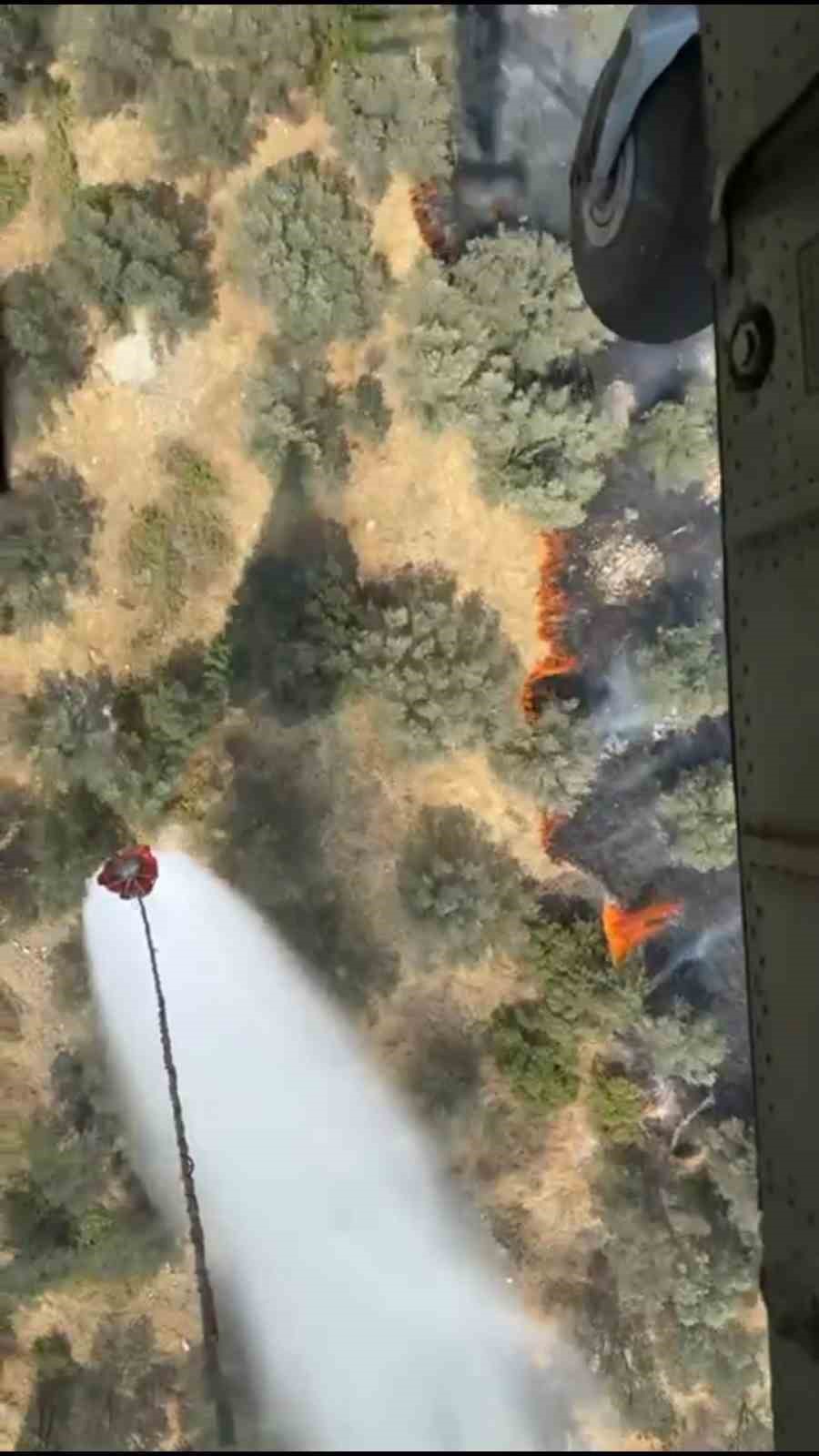 balikesirin ayvalik ilcesinde zeytinlik alanda cikan yangin ve mudahale cabalari