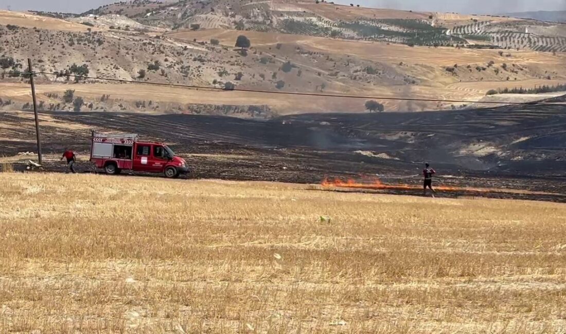 Besni ilçesinde çıkan anız yangını kontrol altına alındı. Bölge güvenliği