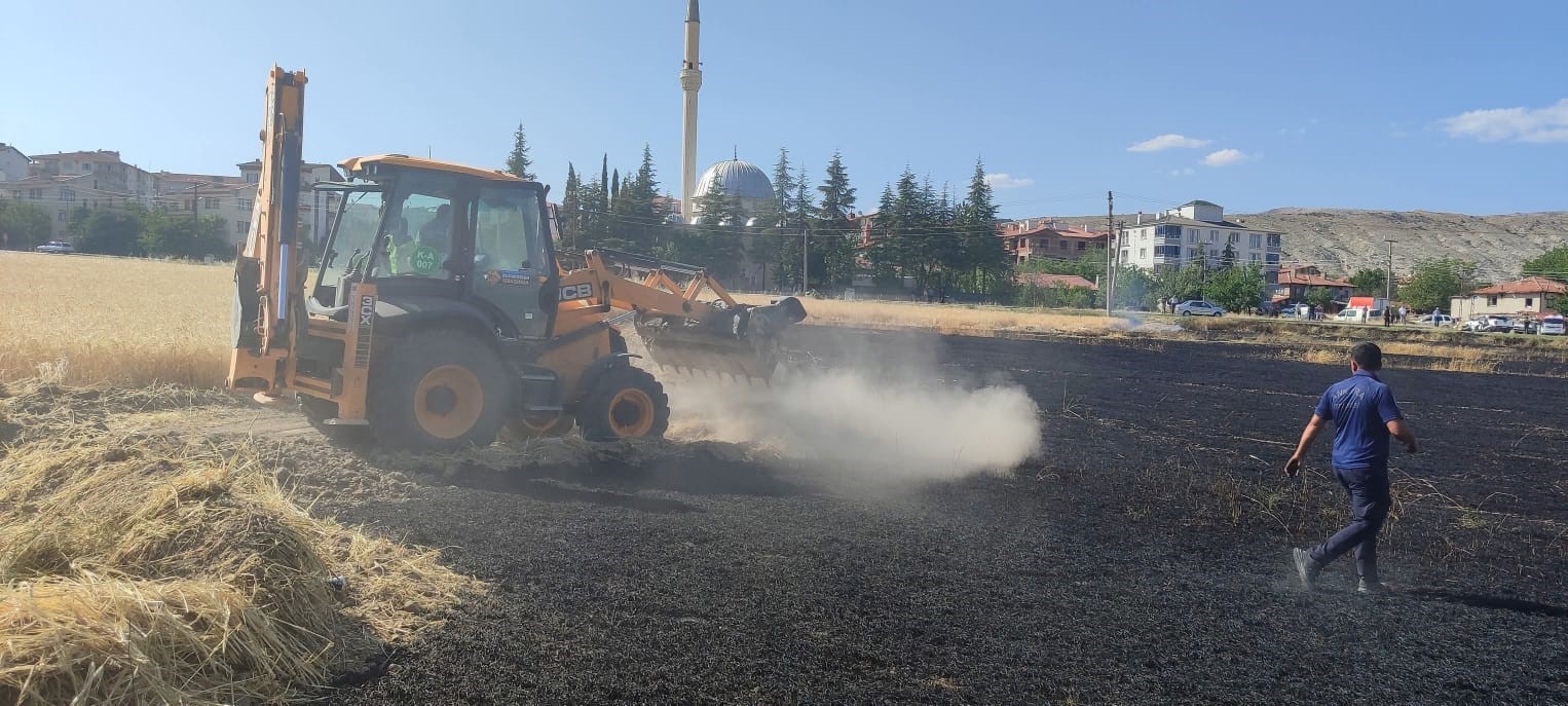 İnceleme ve Gelecekteki Önlemler