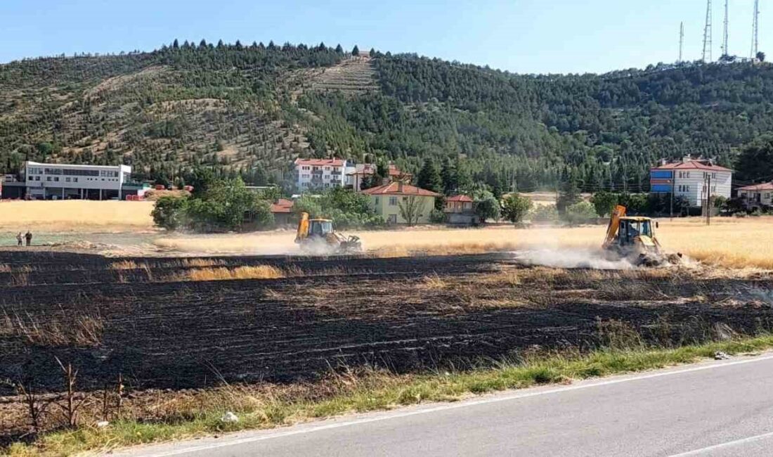 Beypazarı'nda tarla ve tavuk kümesi yangınıyla ilgili gelişmeler, nedenleri ve