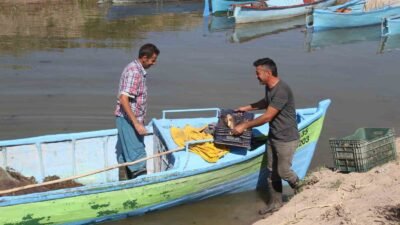Beyşehir Gölü'nde yeni av sezonu başladı. Balıkçılar umutla bekliyor, güzel