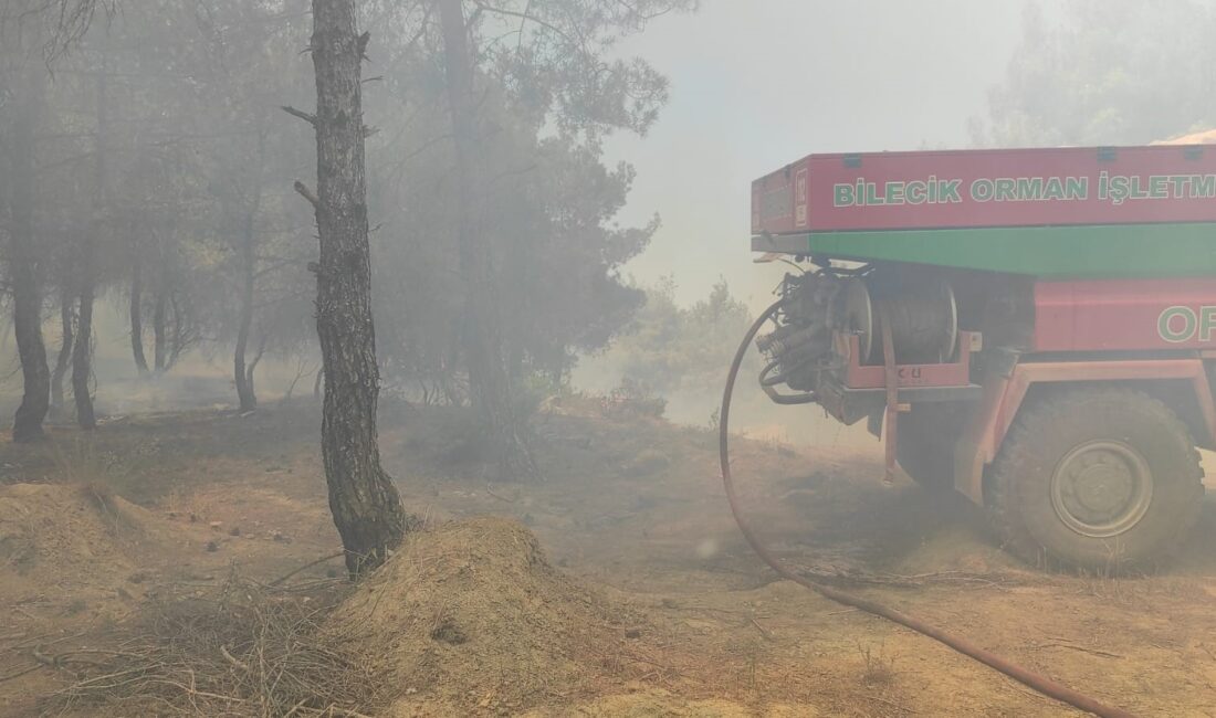 Bilecik'te buğday tarlasındaki korkutan yangın kontrol altına alındı. Güçlü müdahale