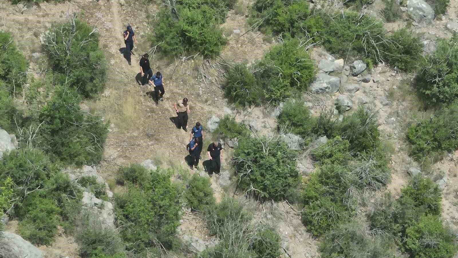 Polis ve Jandarma Çalışmaları