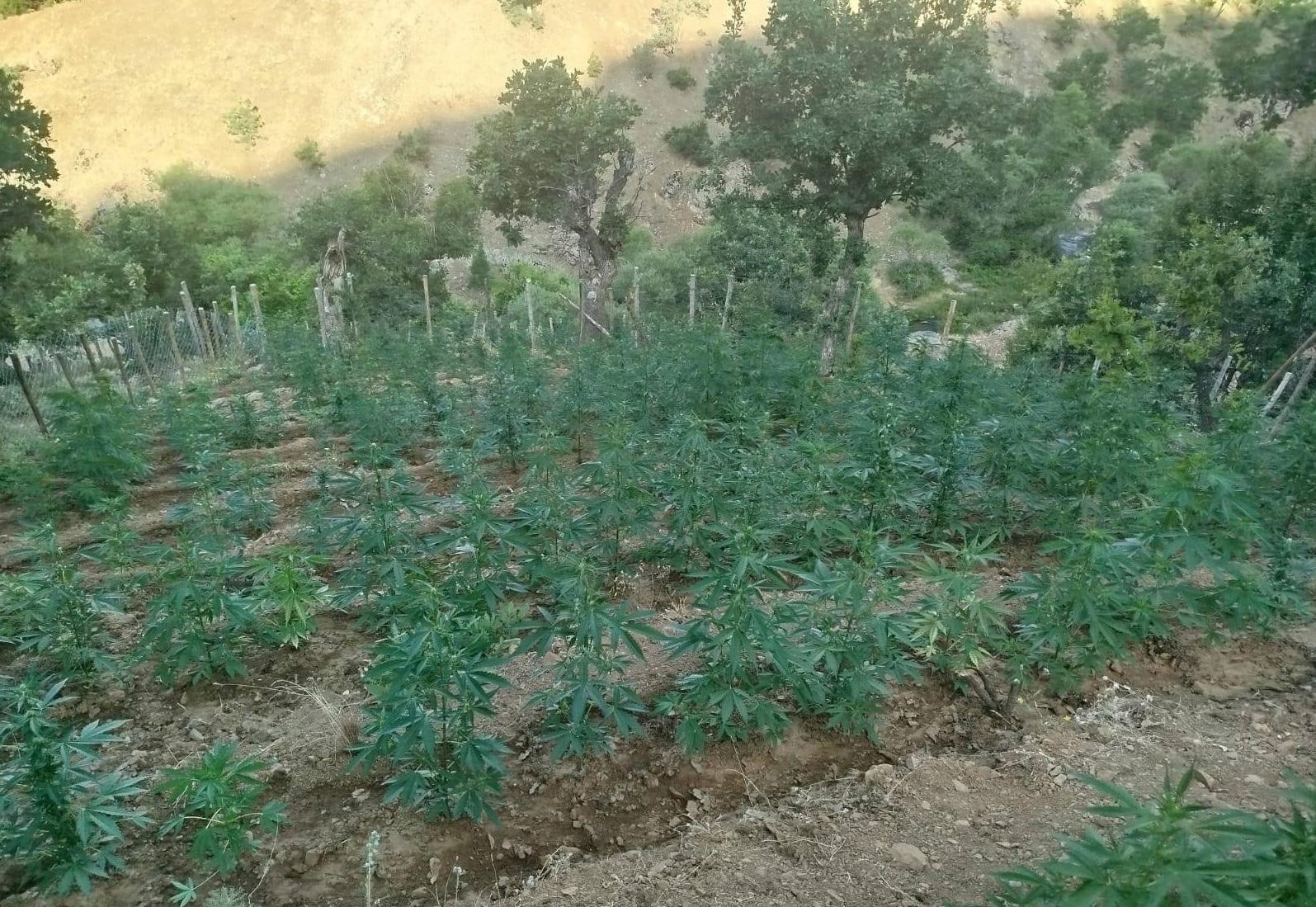 Yasal İşlemler ve Gelecek Planları