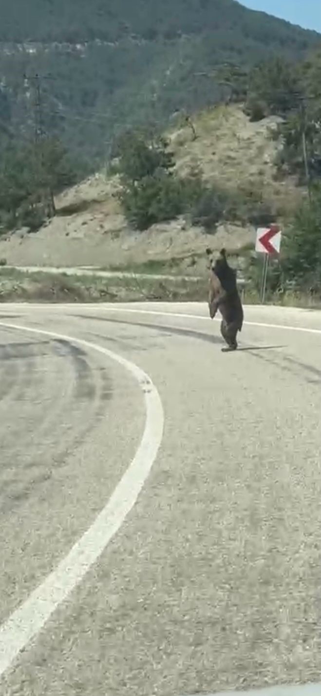 İşte O Anlar
