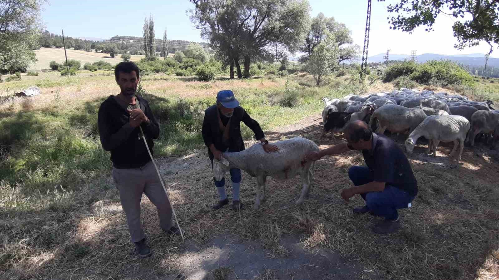 Saldırıyı Görenler ve Olayın Detayları