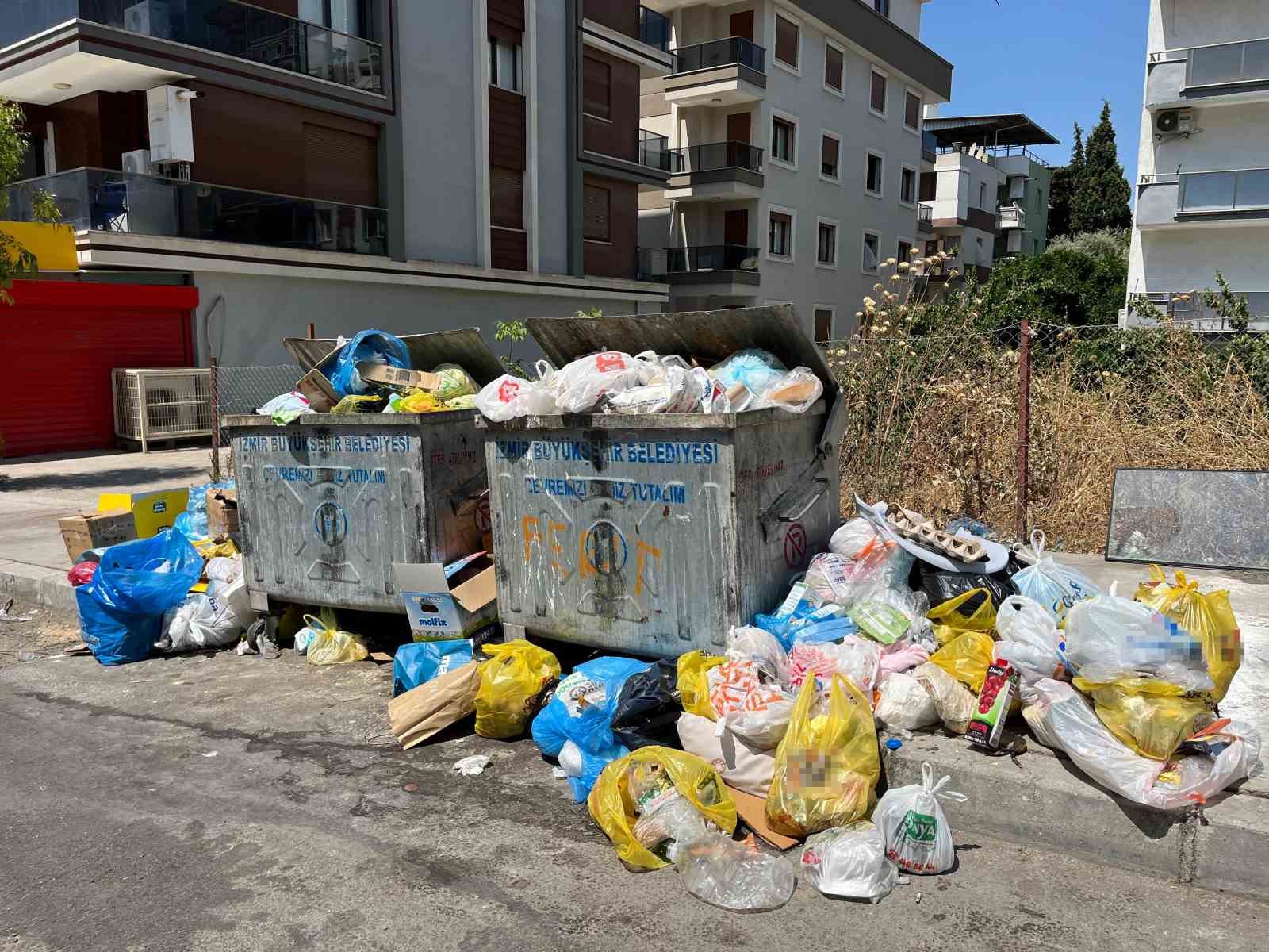 Giriş