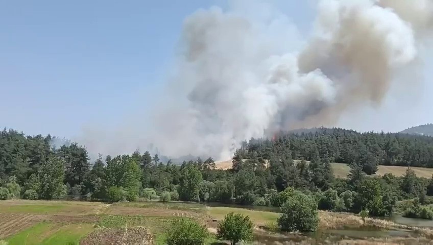 Yangına Müdahale Çalışmaları ve Güçlendirilmiş Ekipler