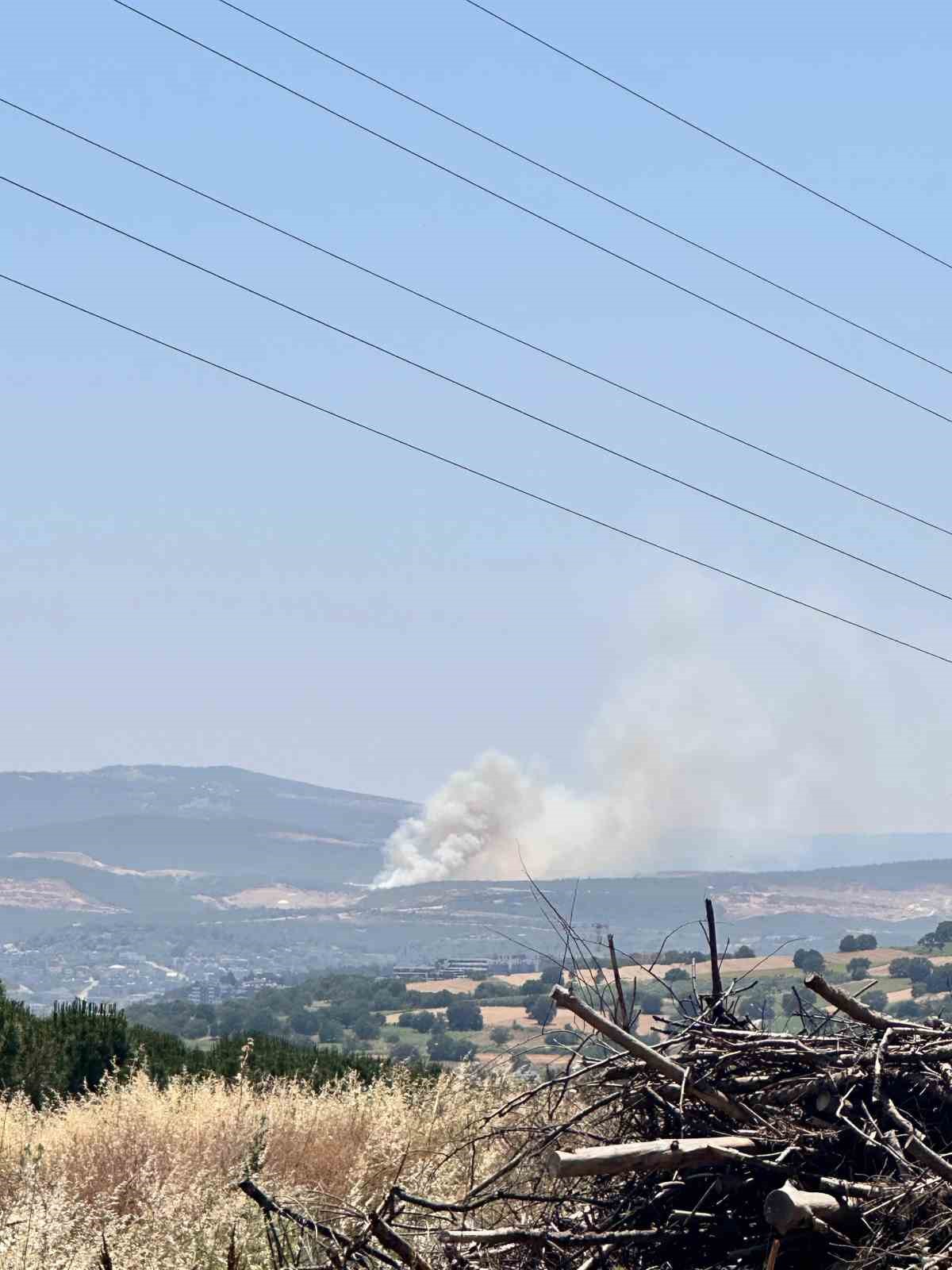 bursa nilufer kayapa bolgesinde orman yangini rsEpMIvW