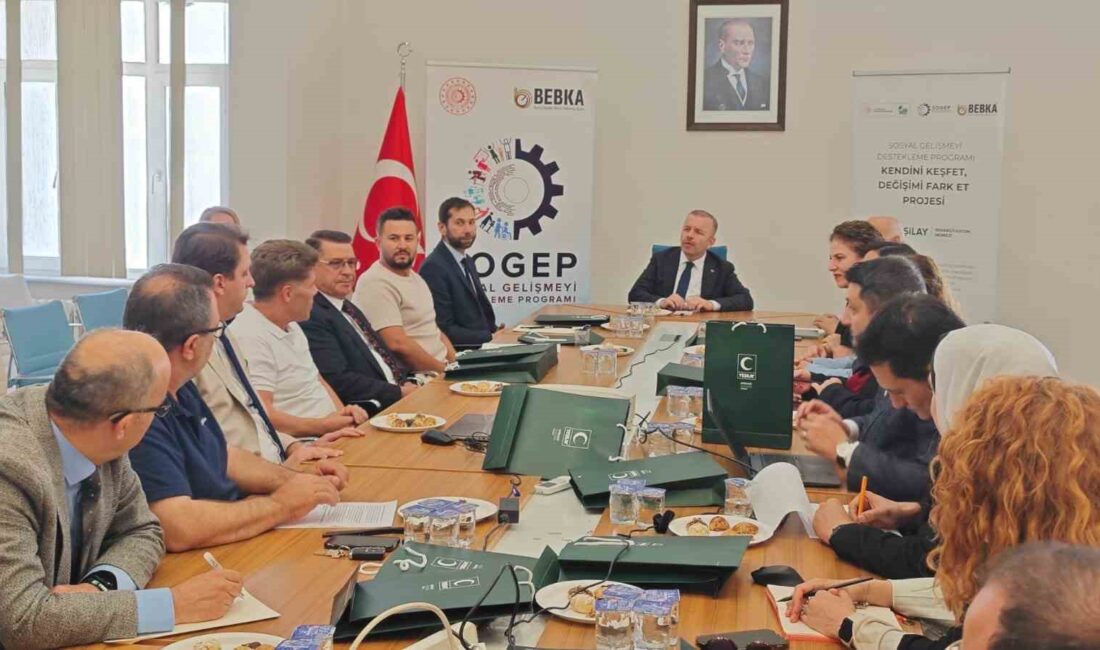 Bursa'da bağımlılıkla mücadelede yenilikçi mesleki rehabilitasyon ve entegrasyon projesi ile