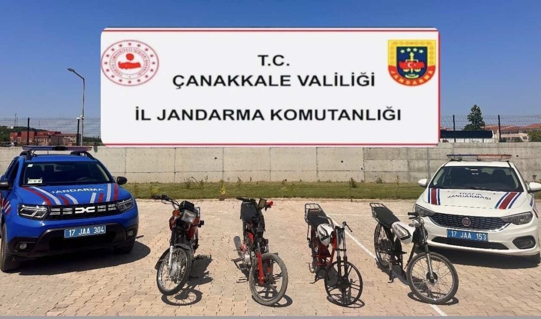 Çanakkale Biga ilçesinde trafik güvenliği ve denetimleri hakkında bilgiler, önlemler