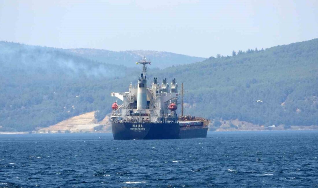 Çanakkale Boğazı'nda makine arızası yapan yük gemisinin güvenliğe alınmasıyla ilgili