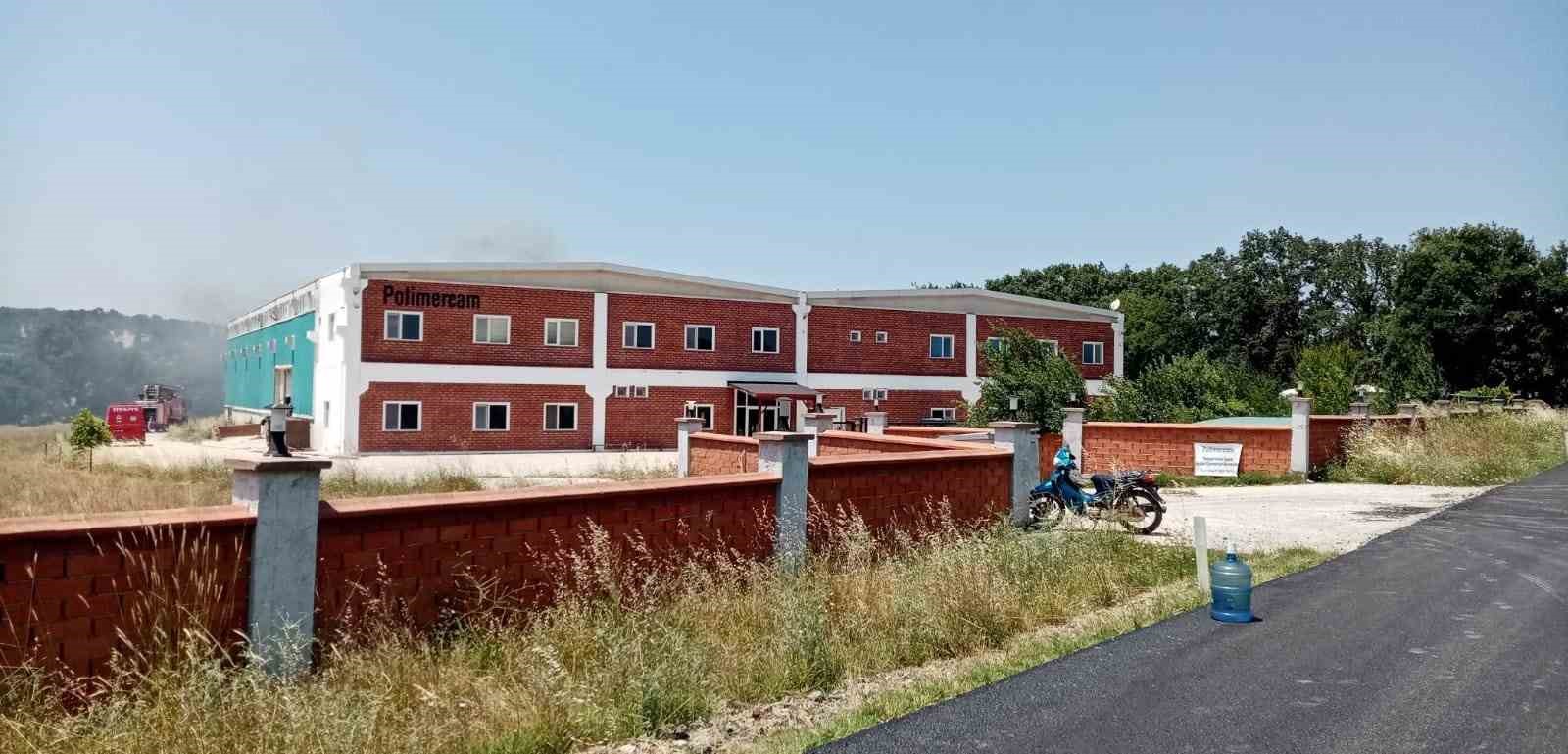 Çevresel ve Ekonomik Etkiler