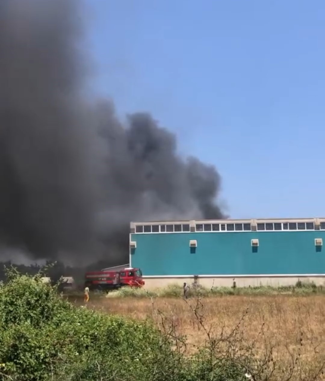 Güvenlik Önlemleri ve Son Durum