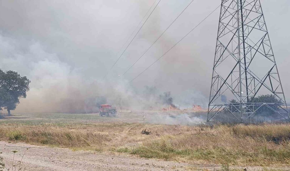 Çanakkale Çan ilçesinde tarım arazisi yangınına hızlı ve etkili müdahale