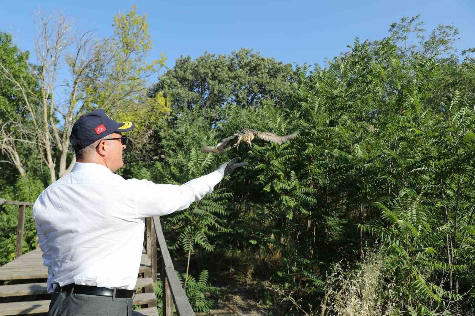 Çanakkale Valisi Ömer Toraman, Doğal Yaşam Alanında Tedavi Gören Kuşları Doğaya Bıraktı