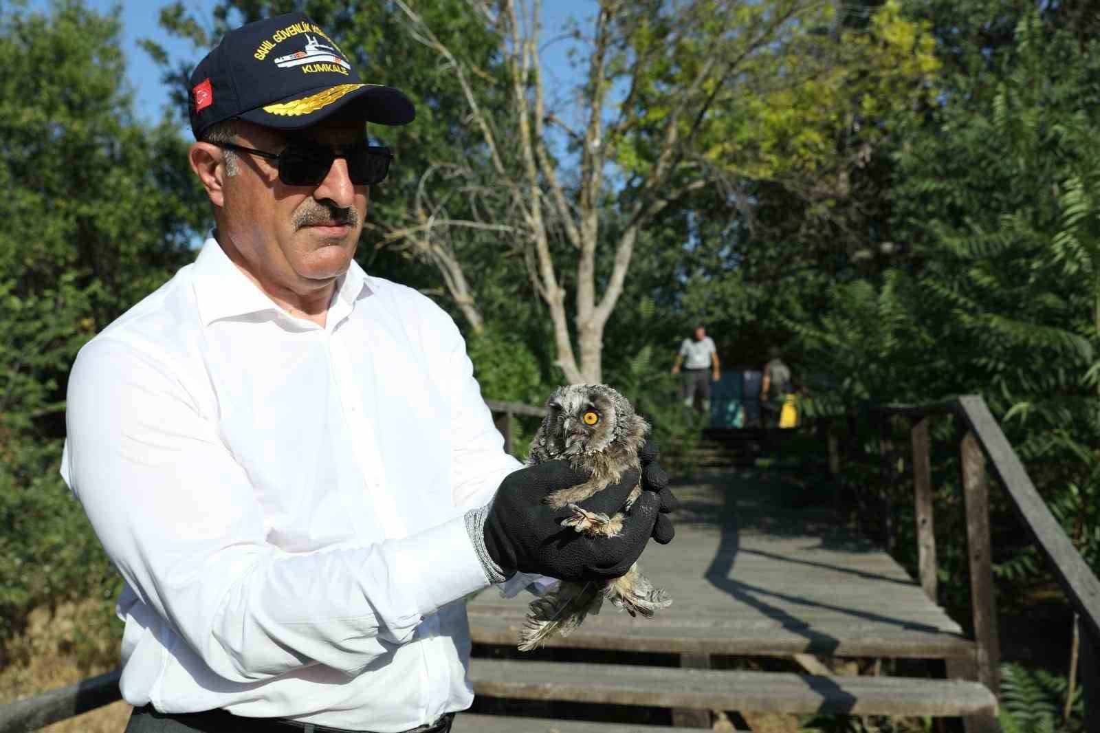 Sağlığına Kavuşan Kuşlar ve Salım Anı