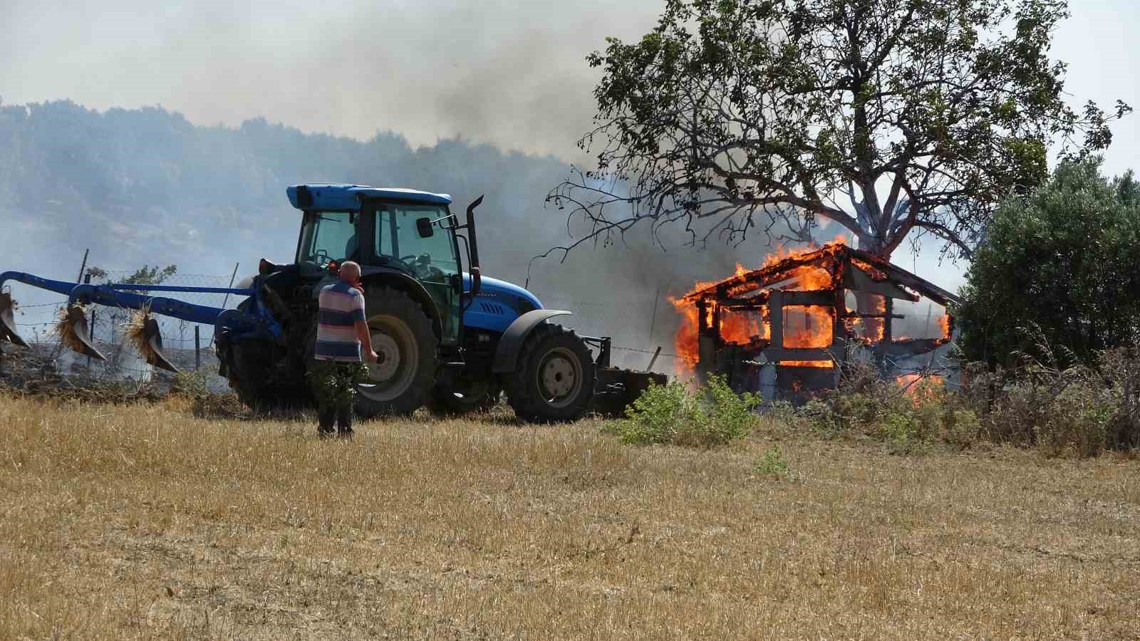 Çevresel ve Ekonomik Etkiler