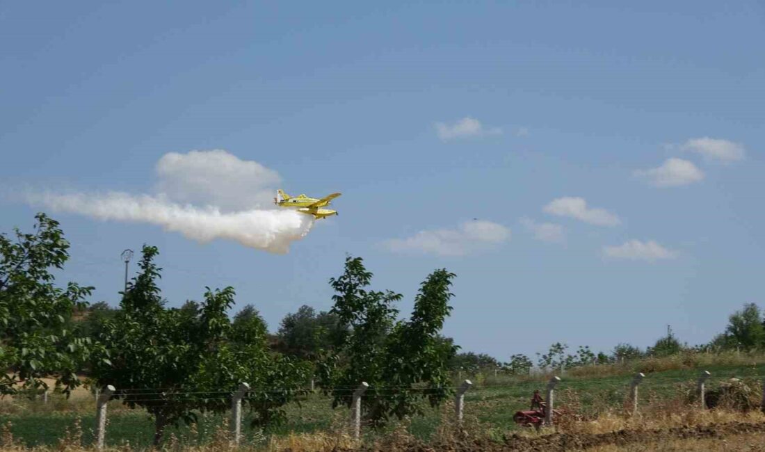 Çanakkale'de tarım arazisinde çıkan yangın ve müdahale çalışmaları hakkında detaylar,