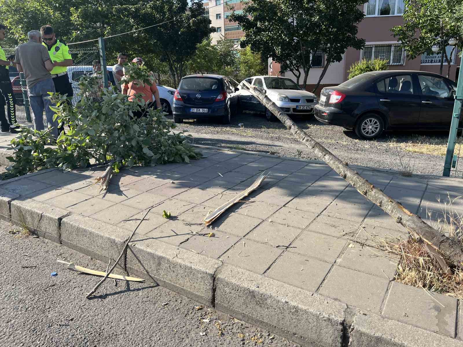 Polis ve Güvenlik Önlemleri